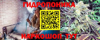 гашик Ярцево
