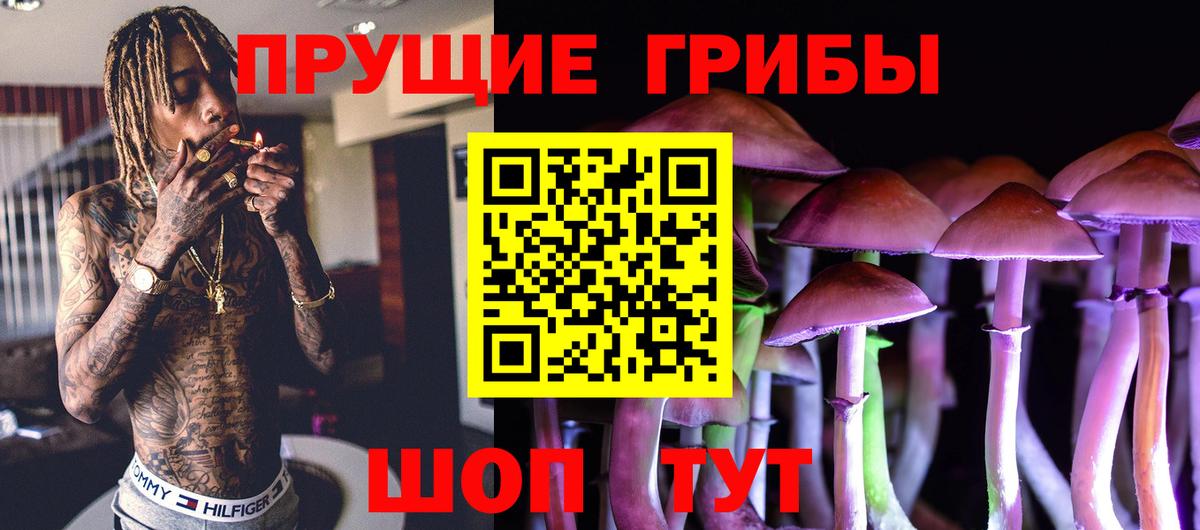 Псилоцибиновые грибы Psilocybine cubensis Лиски