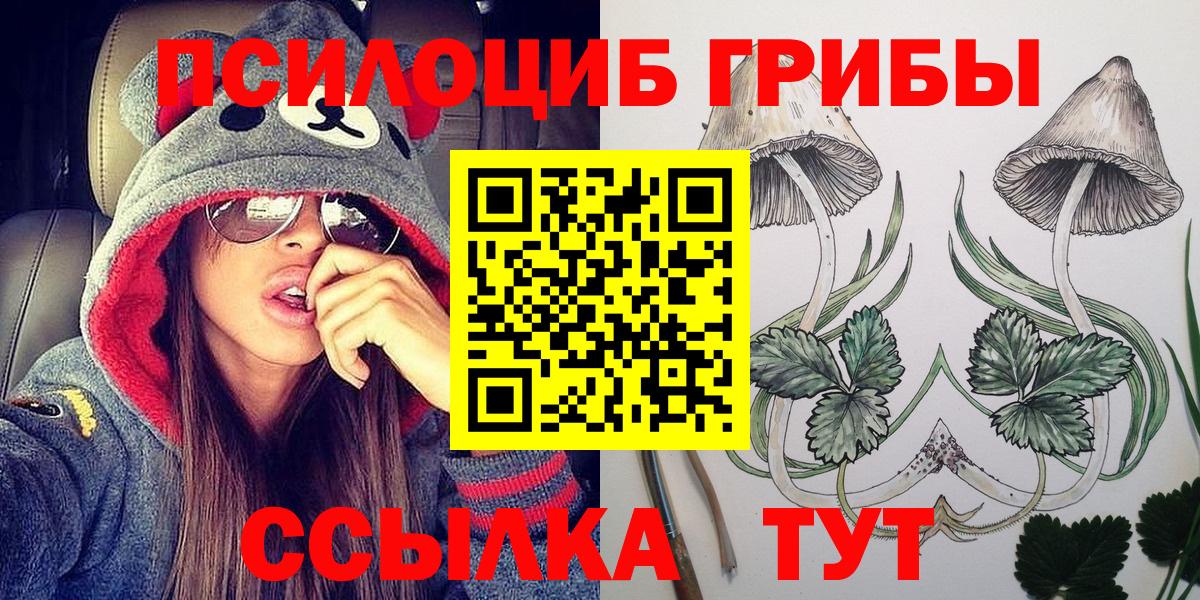 Галлюциногенные грибы Psilocybine cubensis  Псилоцибиновые грибы прущие грибы  купить наркоту  Лиски  Вход с VPN 